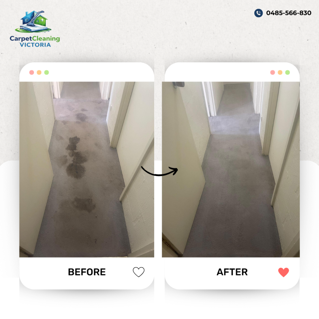 Before and After Deep Carpet Cleaning Services