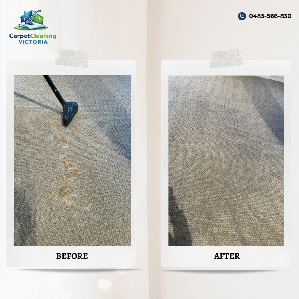 Before and After Carpet Cleaning Services