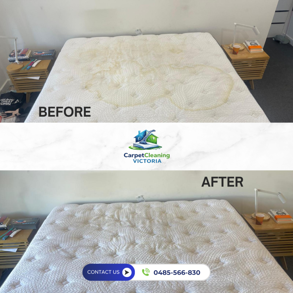 Before and After Mattress Cleaning Services