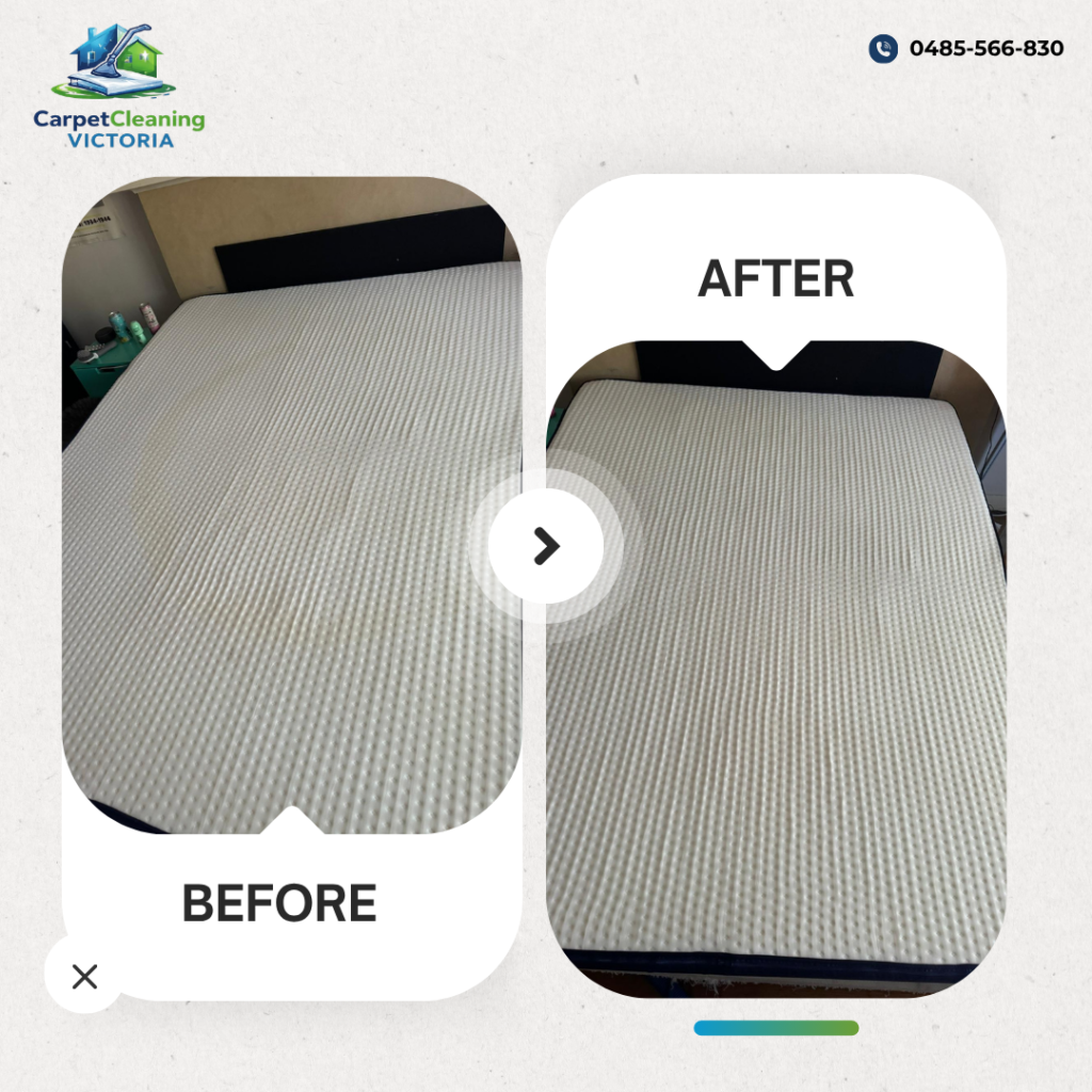 Before and After Mattress Cleaning Services