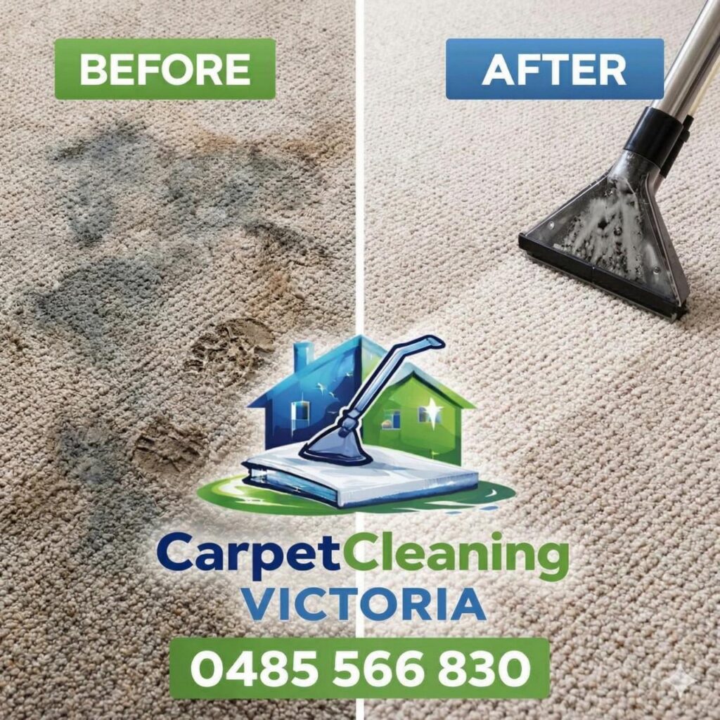 Before and After Deep Carpet Cleaning Services