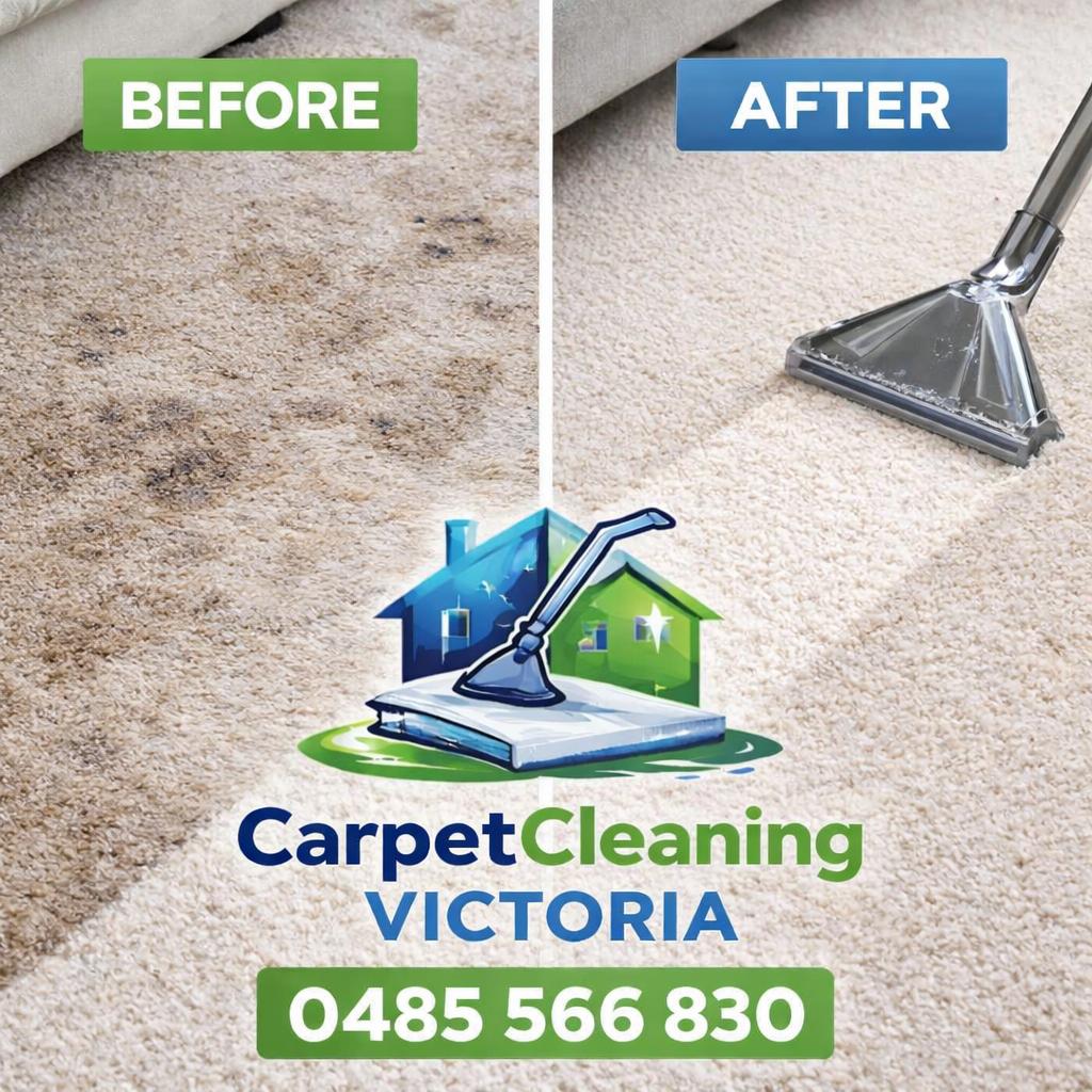 Before and After Deep Carpet Cleaning Services